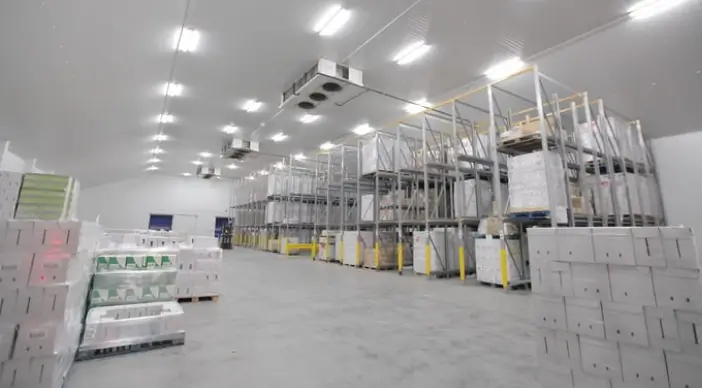 Cold Storage Warehouse Construction
