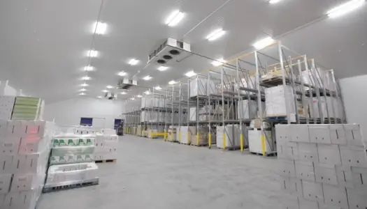 Specialized Infrastructure & Facilities